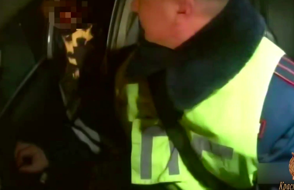 В Красноярском крае полицейские спасли замерзающую в сломанной машине женщину с детьми