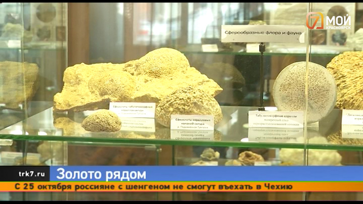 Выставка про золото открылась в Красноярске в Музее геологии GEOS 