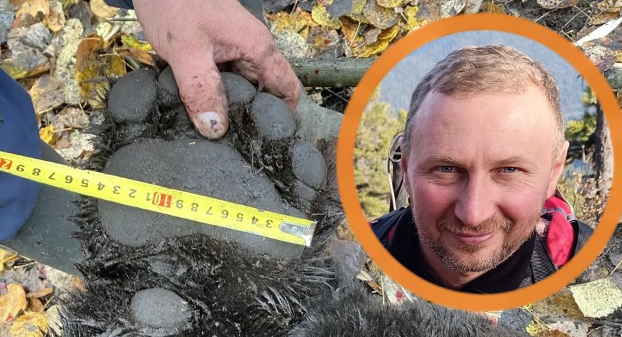 Главный охотовед Красноярского края резко высказался о ситуации с медведями