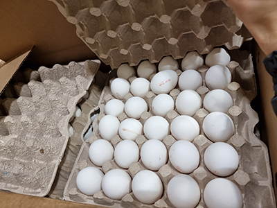 Из Красноярска в Монголию отправилась партия в 300 тысяч куриных яиц . Фото: Россельхознадзор