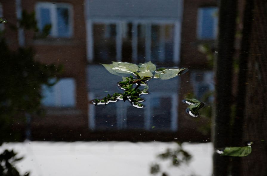 Жара сменяется ливнями: прогноз погоды в Красноярске на рабочую неделю