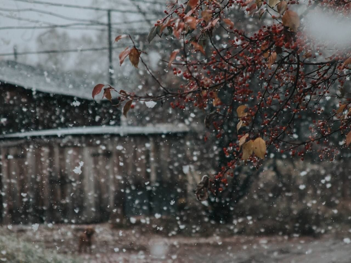 В Красноярске и пригороде выпал первый снег: показываем, как это было