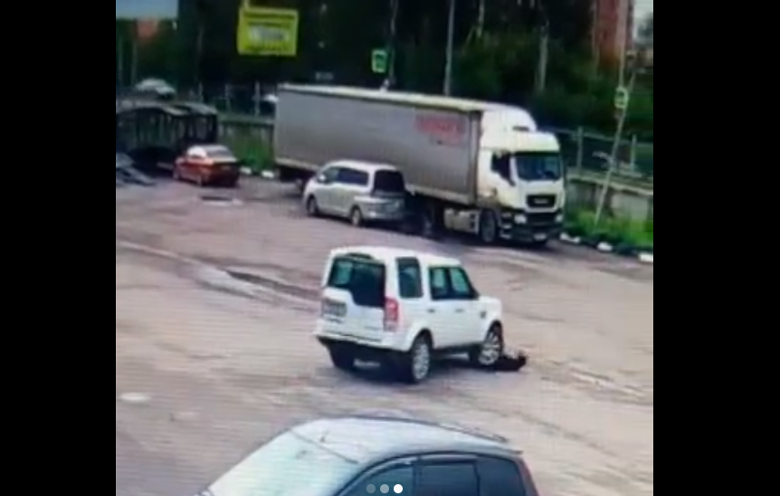 В Красноярске водитель внедорожника протащил несколько метров сбитую им беременную собаку