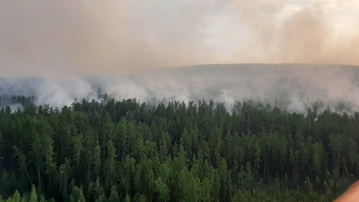 Красноярск край лесные пожары. Пожары в Красноярском крае 2019. Лесные пожары в Красноярском крае. Лесные пожары в Красноярском крае в 2019 году. Контроль за лесными пожарами с воздуха.