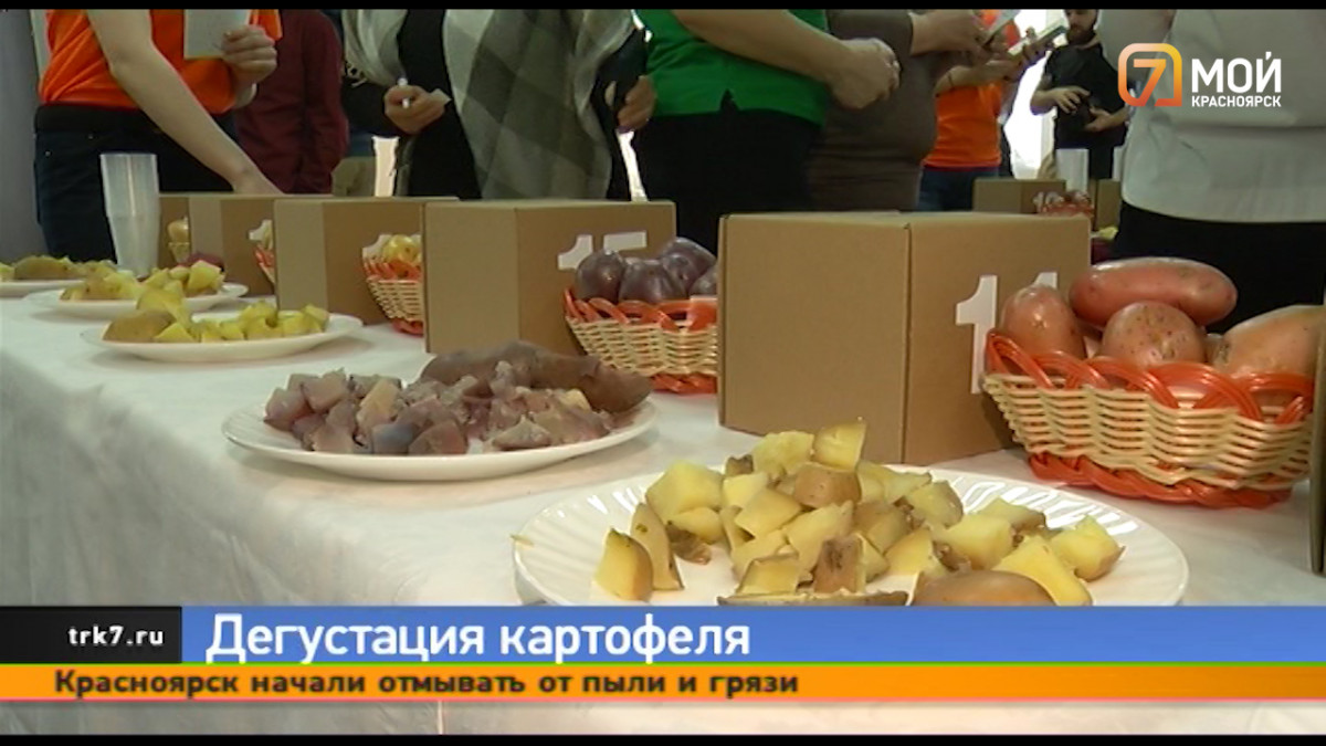 В Красноярске гурманы на «картофельном баттле» выбрали самый вкусный корнеплод