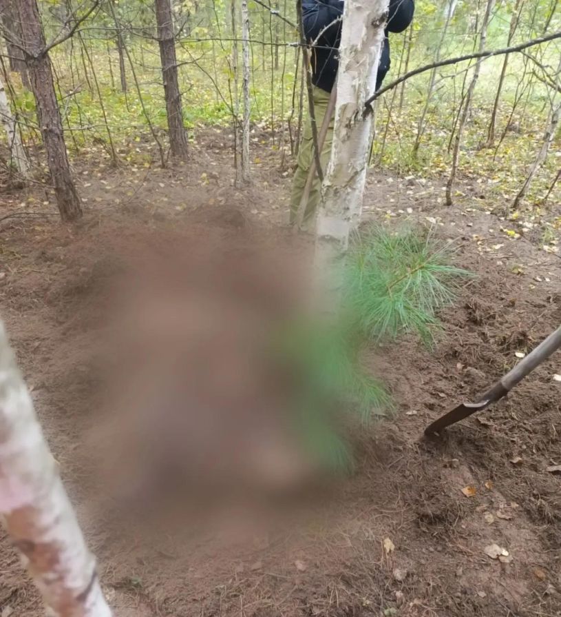 На севере Красноярского края медведь растерзал двух женщин