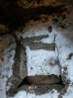 Красноярец до смерти избил сожительницу, а тело сбросил в яму рядом с домом  . Фото: ГСУ СК РФ по Красноярскому краю