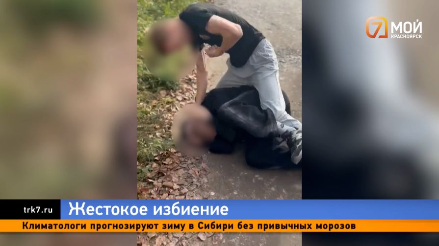 Неблагородный поединок — в Лесосибирске подросток жестоко избил сверстника из-за девушки