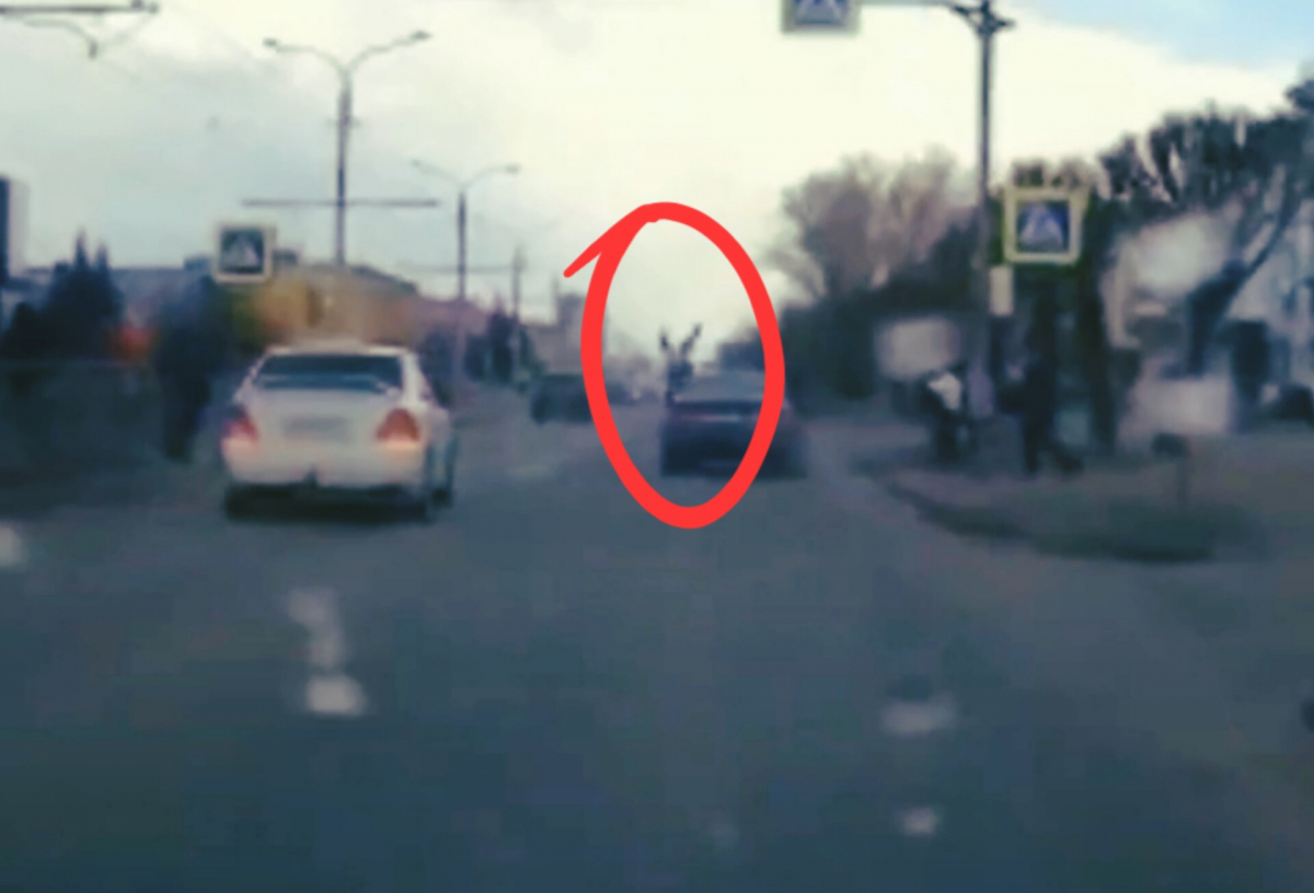 В Красноярске 7-летняя девочка перебегала дорогу на «красный» и попала под колёса автомобиля