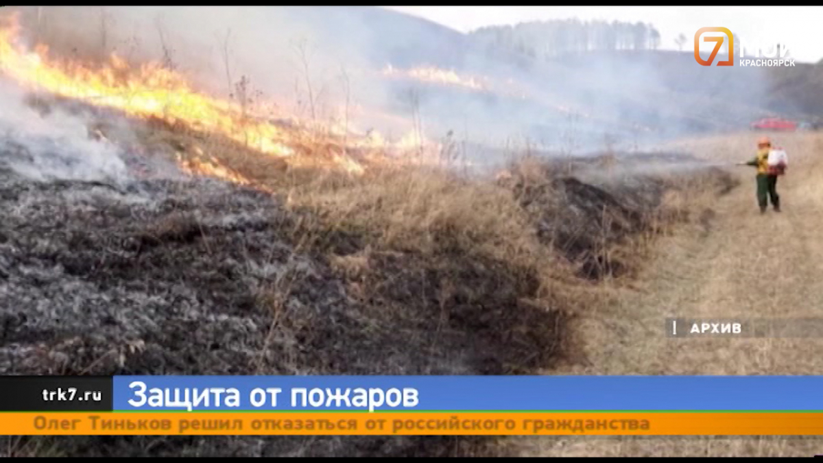 В Красноярском крае началась модернизация системы охраны лесов от пожаров и наведение порядка в отрасли