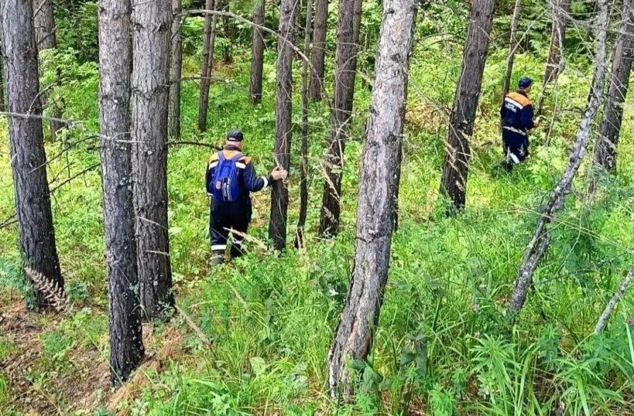 Из лесов Красноярского края спасли двух женщин за день
