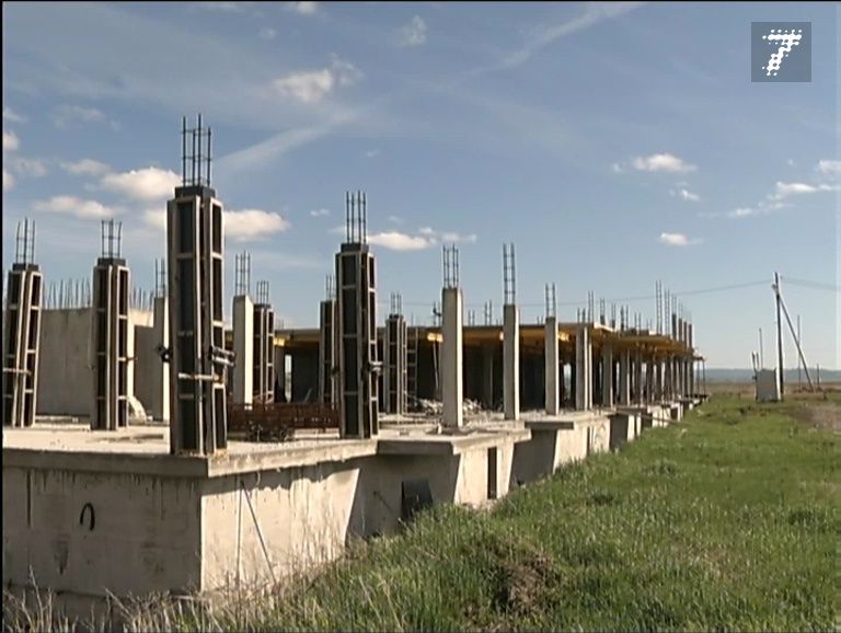 златоулочка красноярск последние новости