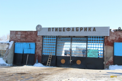 Следком Красноярского края проверит, почему работникам птицефабрики не платили зарплату