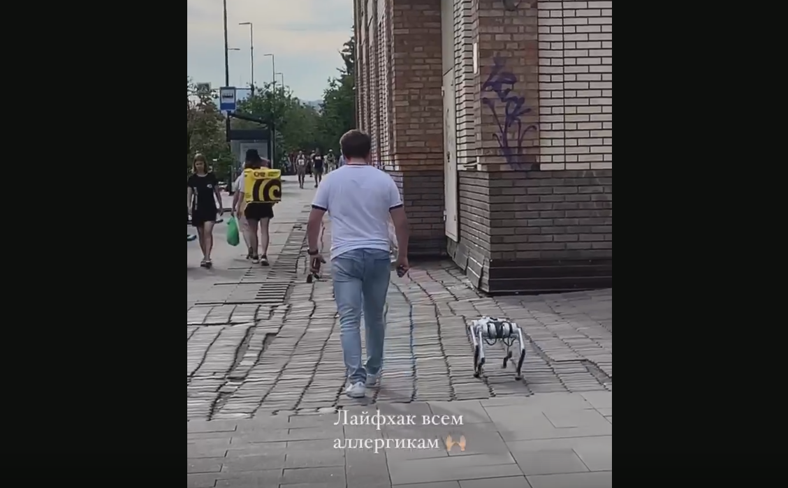 В центре Красноярска сняли на видео прогулку собаки-робота