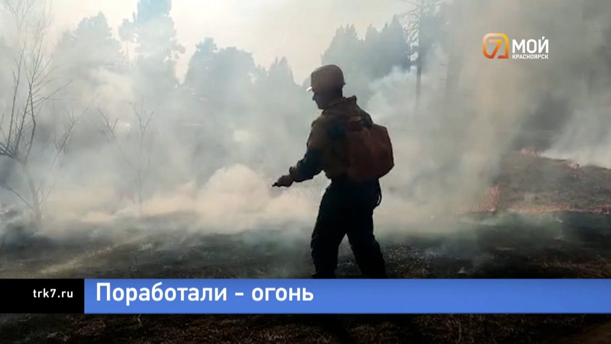 В Красноярском крае количество лесных пожаров в 2023 году уменьшилось в 3,5 раза
