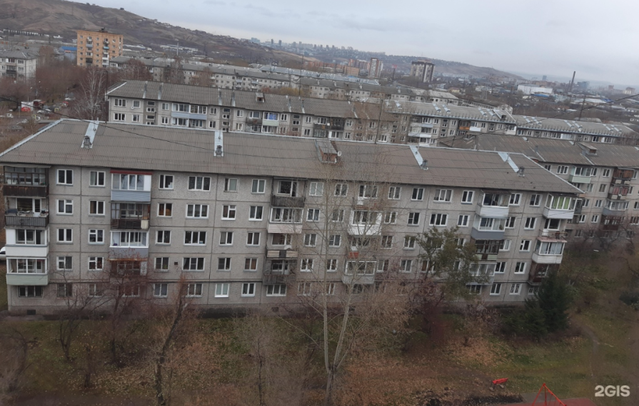 Радиус карантина по бешенству в Красноярске вырос вдвое