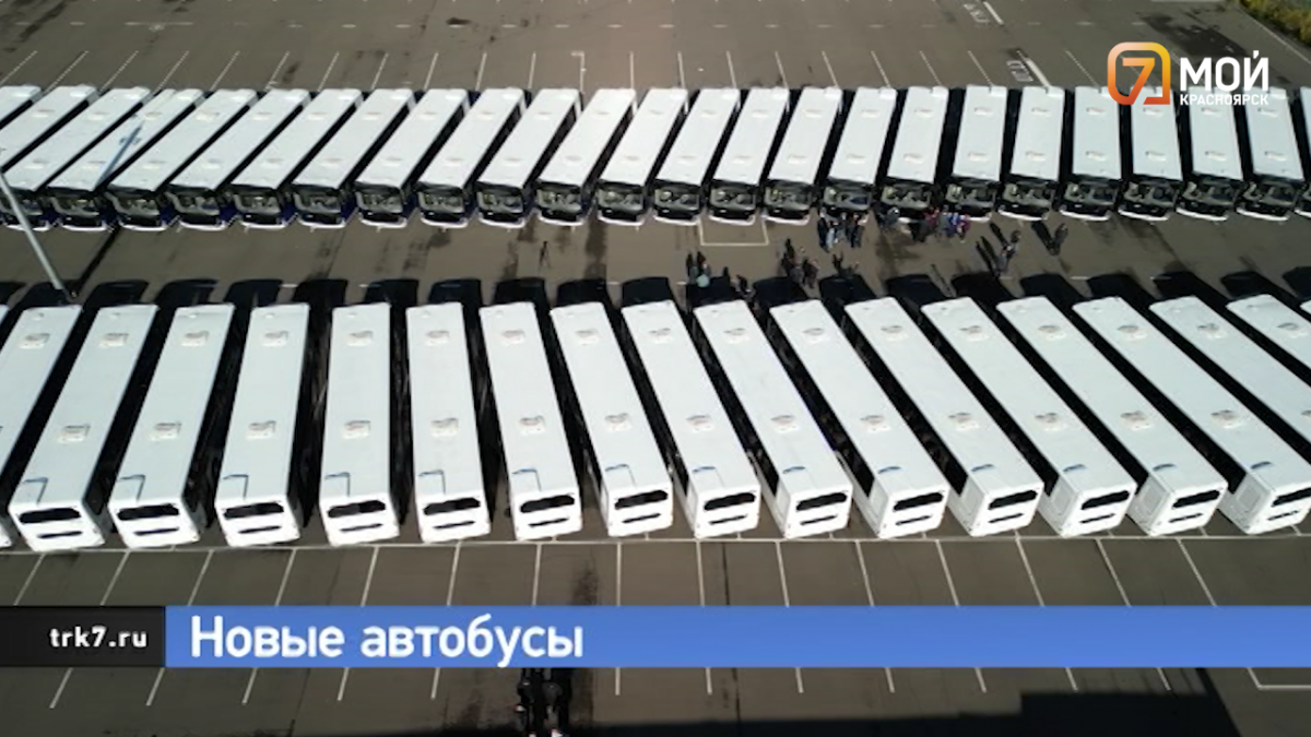 Показываем, как выглядят новые автобусы, которые приехали в Красноярский край
