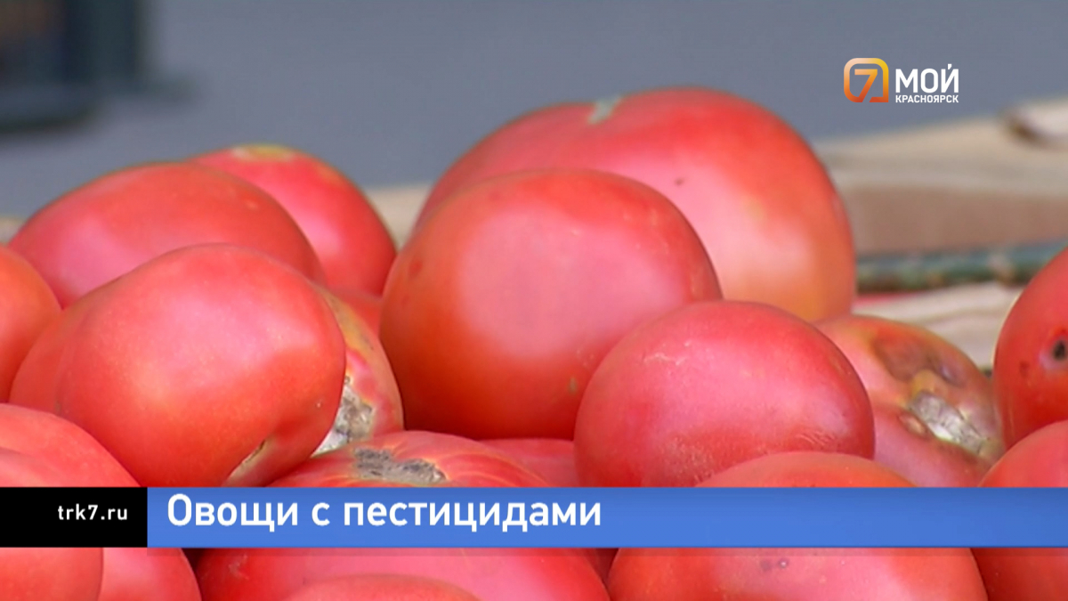 Помидоры с пестицидами в большом количестве нашли в Красноярске