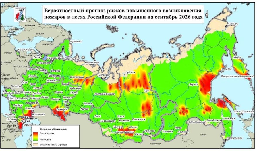 Красноярскому краю предсказывают обострение ситуации с лесными пожарами