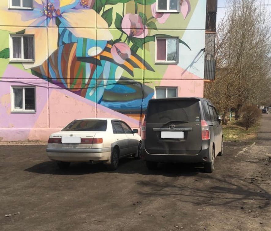 В Красноярске в Кировском районе благодаря «Дозору» оштрафовали 67 водителей за парковку на газонах