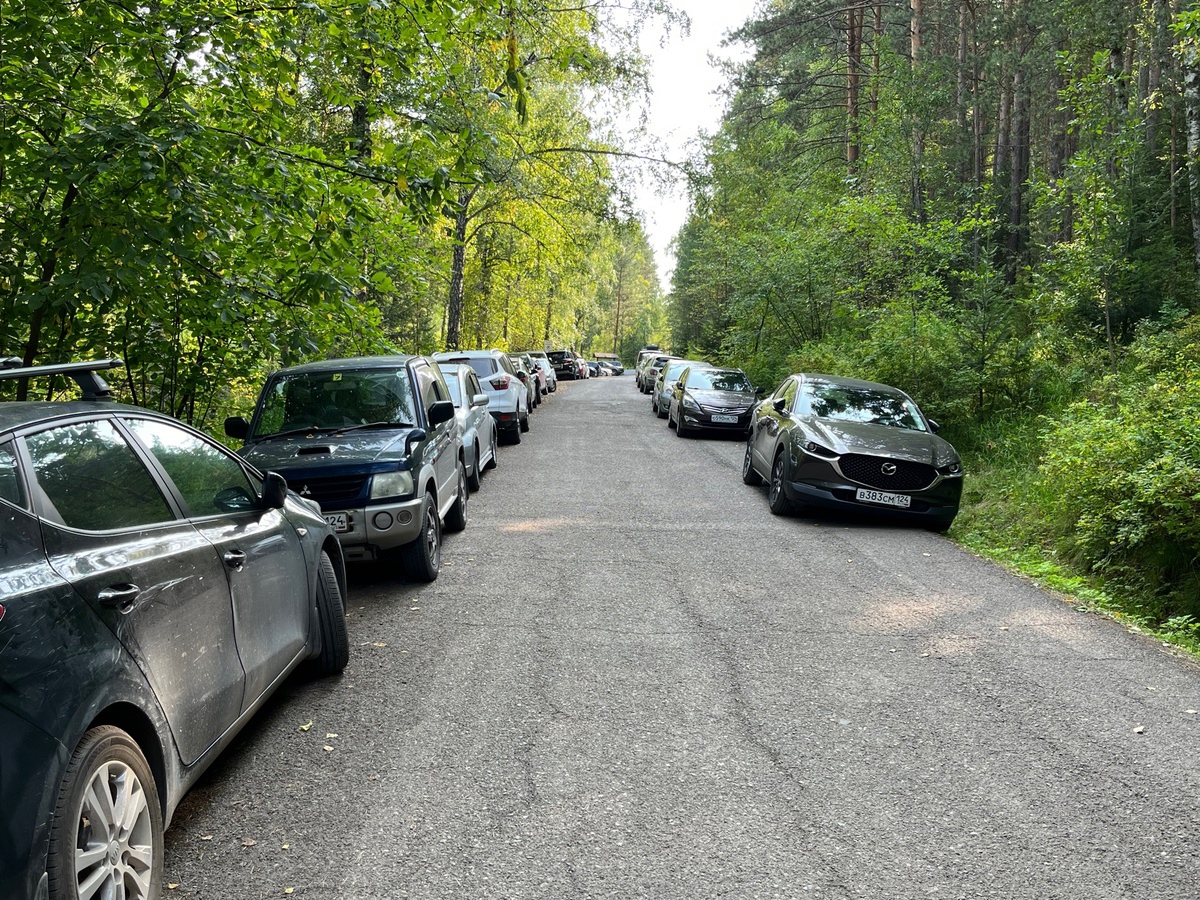 Автомобилисты вновь устраивают хаотичную парковку на «Красноярских Столбах» 