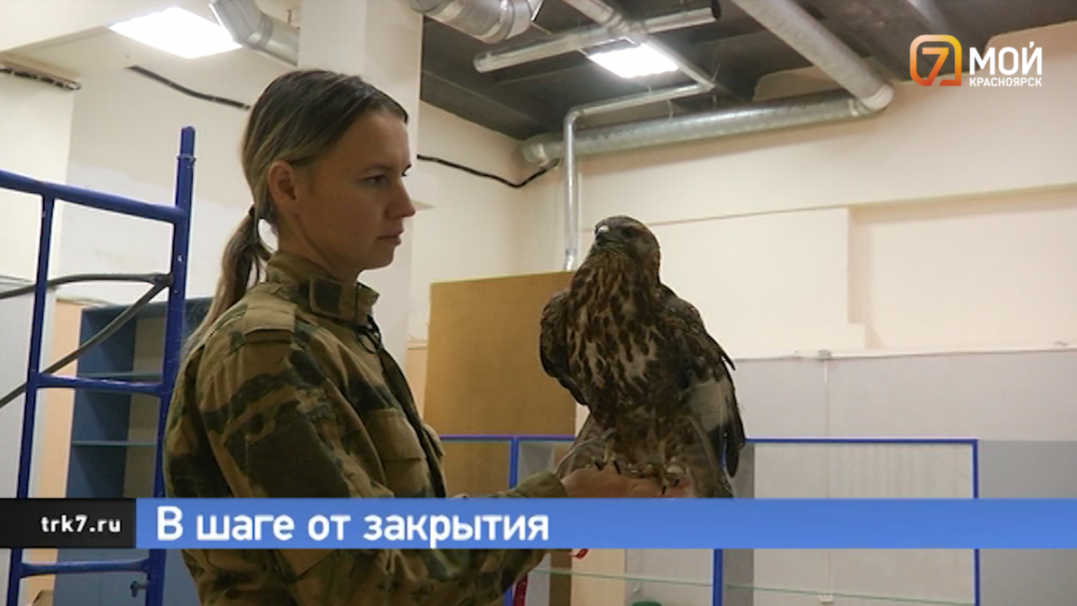 В Красноярске Центр защиты дикой природы просит помощи 