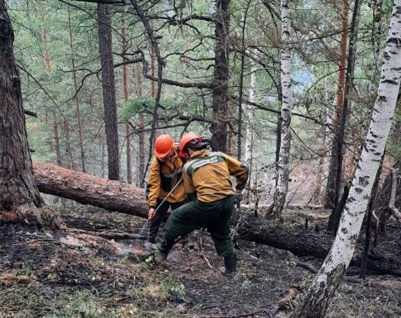 В Красноярском крае за последние сутки потушили четыре лесных пожара 