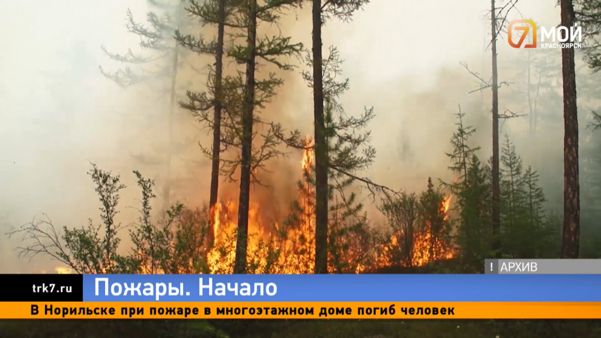 Лесные пожары начались на юге Красноярского края 