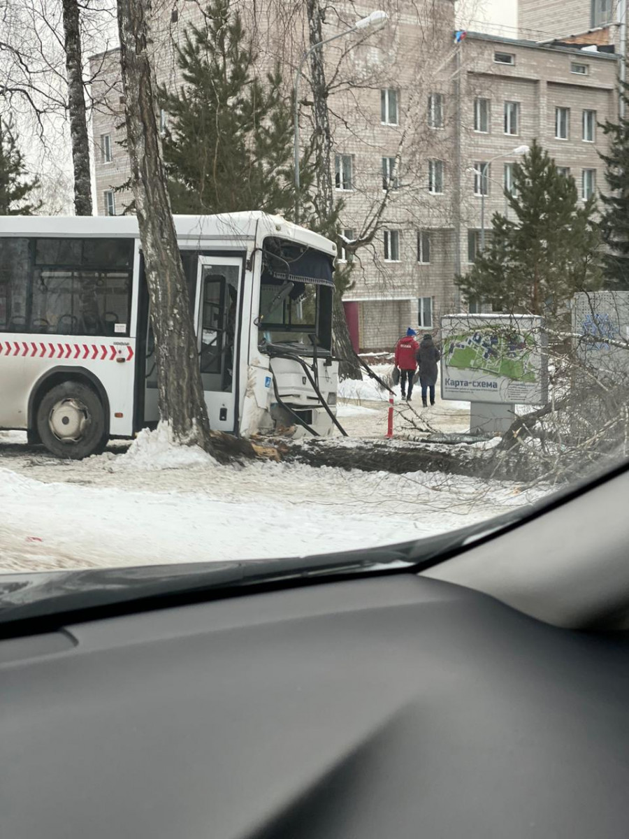 В Красноярске водителю автобуса №63 стало плохо, он врезался в дерево