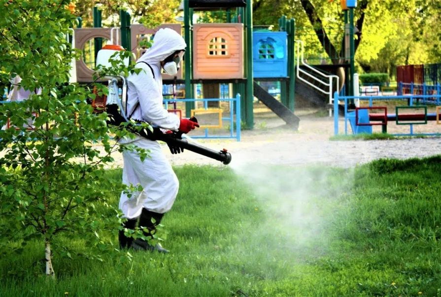 В Туве отмечен резкий рост активности клещей