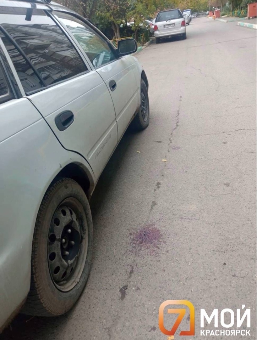Полиция Красноярска начала поиски очевидцев избиения девушки на улице