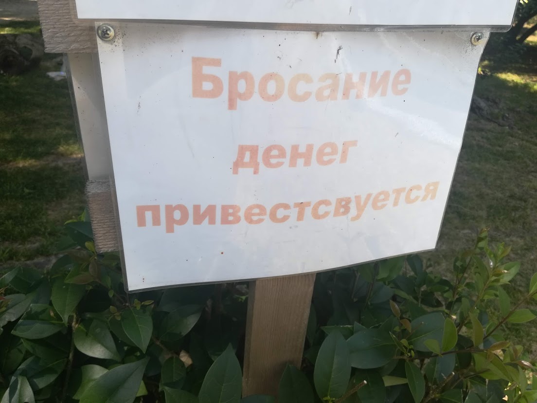 Как не платить налоги и спать спокойно: узнайте 7 тонкостей — Статьи на  сайте 7 канала, Красноярск