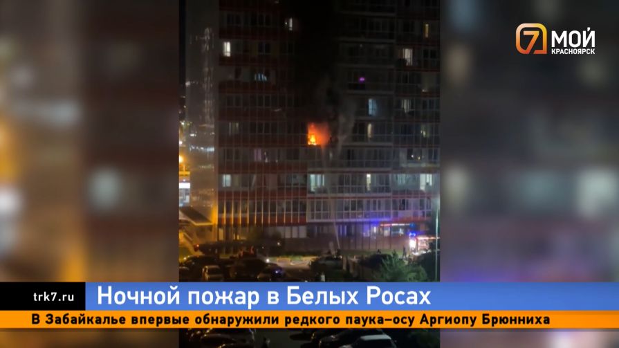 Неосторожность или поджог: почему красноярцы не верят версии МЧС о пожаре в «Белых Росах»