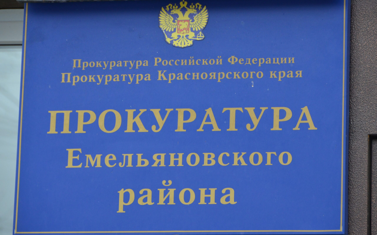 Wb staff Американский стаффордширский терьер серый