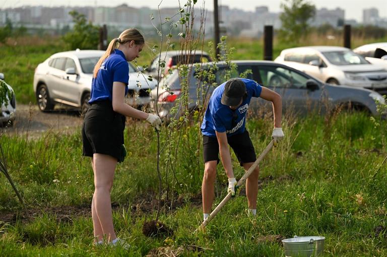 Волонтёры высадили в Советском районе Красноярска 1000 деревьев