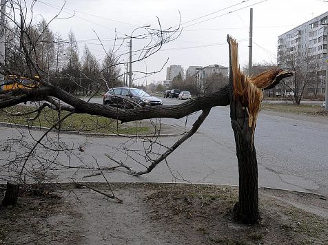 В Красноярске устраняют последствия штормового ветра . Фото: МЧС (архив)