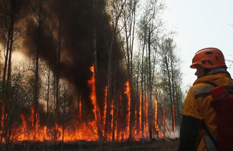 СК передал в суд дело о лесных пожарах в Красноярском крае. Фото: Пресс-служба Авиалесоохраны/ТАСС