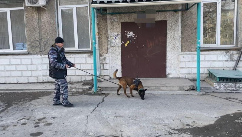 В Ачинске служебный пес Зигер помог в раскрытии кражи 145 тысяч рублей