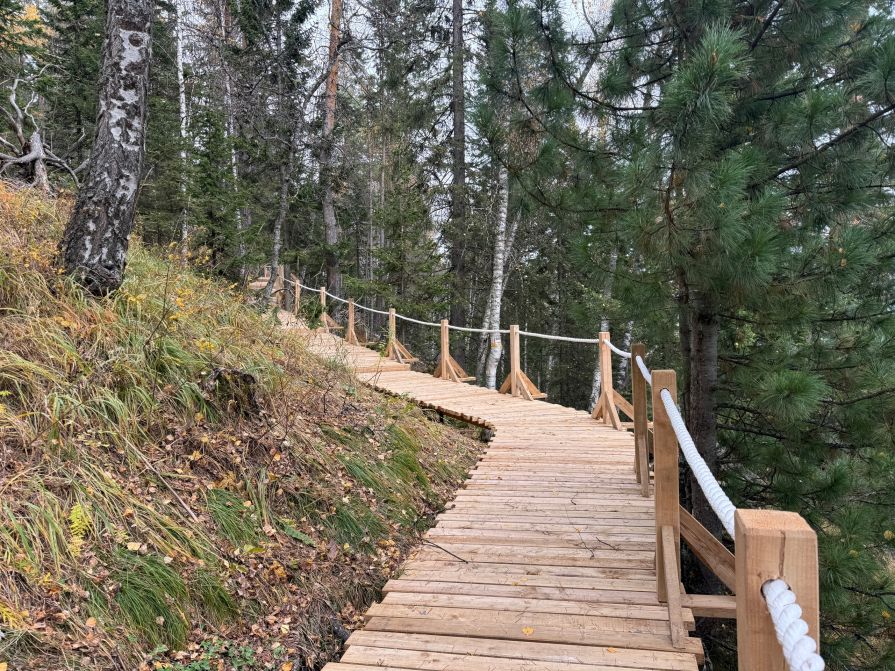 Открытие Каштаковского маршрута на Красноярских Столбах отложили из-за медведей
