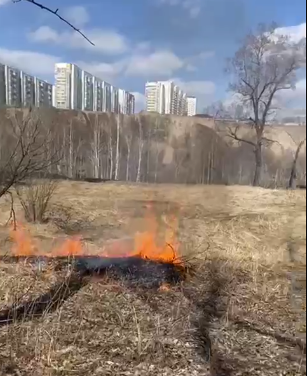 На красноярском острове Татышев специально утроили пожар