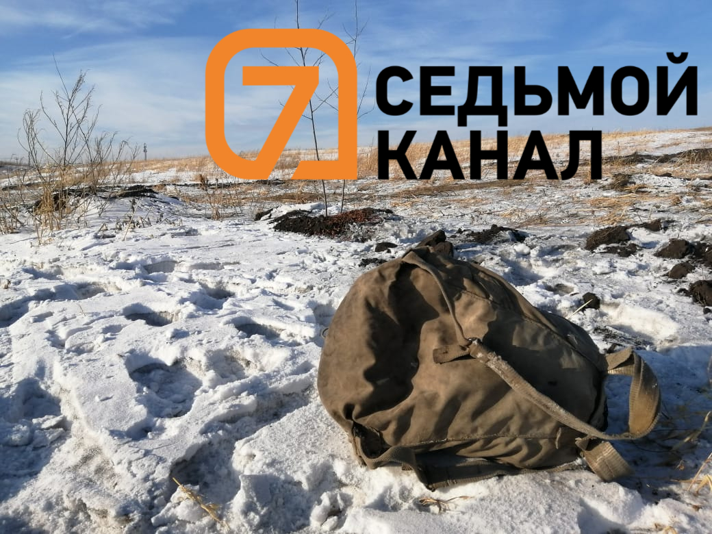 На окраине Красноярска нашли полуобглоданное собаками тело мужчины
