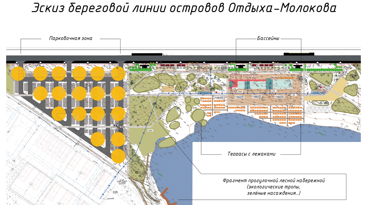 На острове Молокова в Красноярске появится пляжный комплекс с бассейнами и  садом — Новости Красноярска на 7 канале