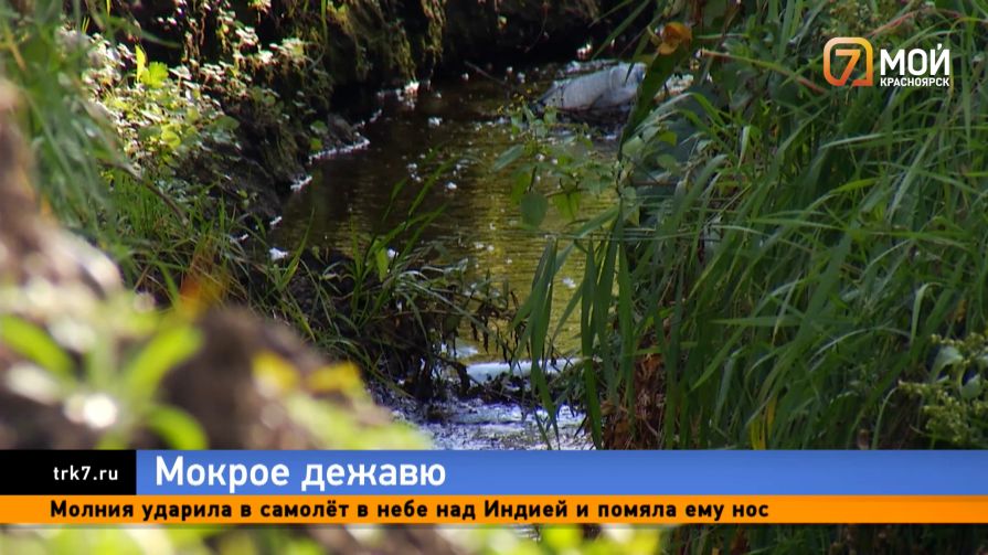Приплыли — жители красноярского СНТ «Черёмушки-1» продолжают тонуть с весны