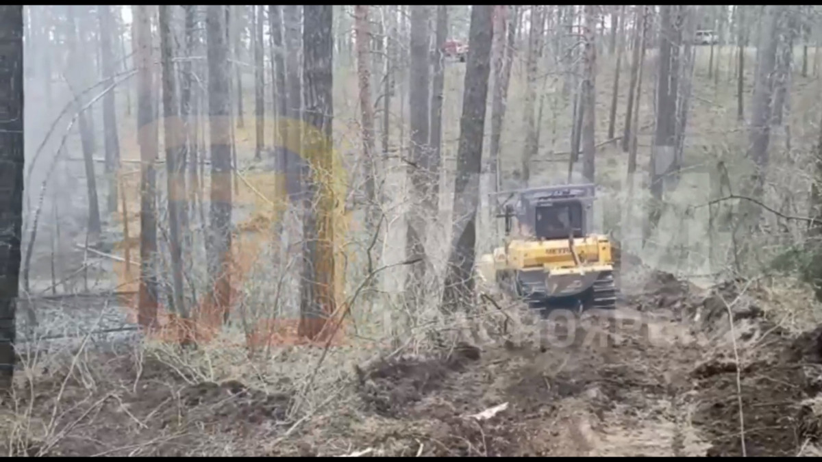 Лесной пожар около села Знаменка Минусинского района локализован 