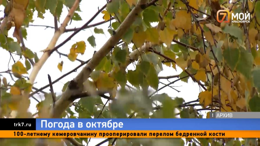 Последний аккорд тепла — синоптики рассказали, каким будет октябрь в Красноярске