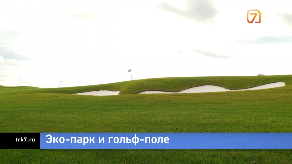 23 сорта яблони и места для пикников: в Красноярске создают гигантский экопарк мирового уровня