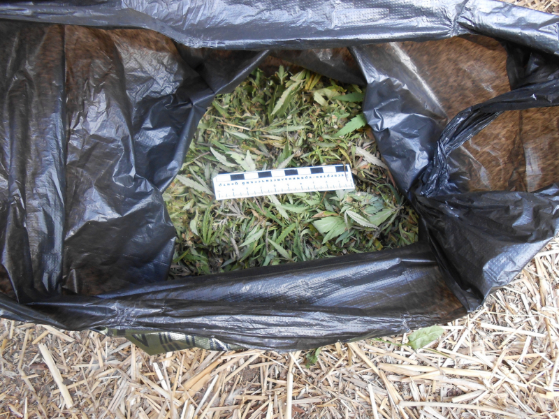 В Минусинске у мужчины изъяли более 2 кг марихуаны