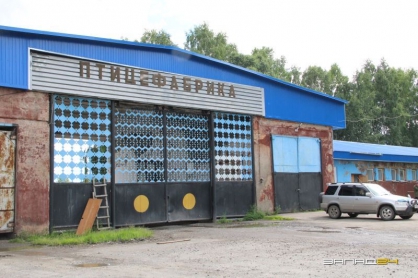 Работникам птицефабрики в Красноярском крае выплатили зарплату. Фото: СК