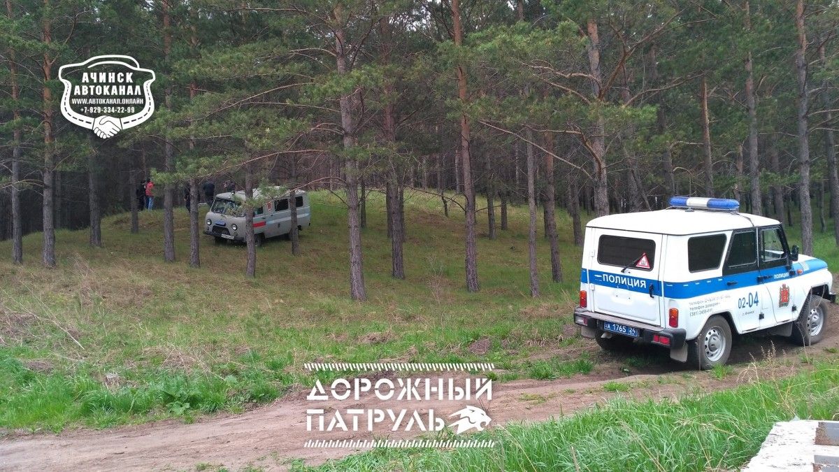 Ачинцев напугал повешенный на дереве труп мужчины (фото) — Новости  Красноярска на 7 канале