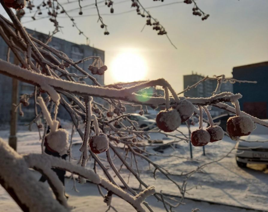 Синоптики объявили о заморозках в Красноярском крае 21 июня